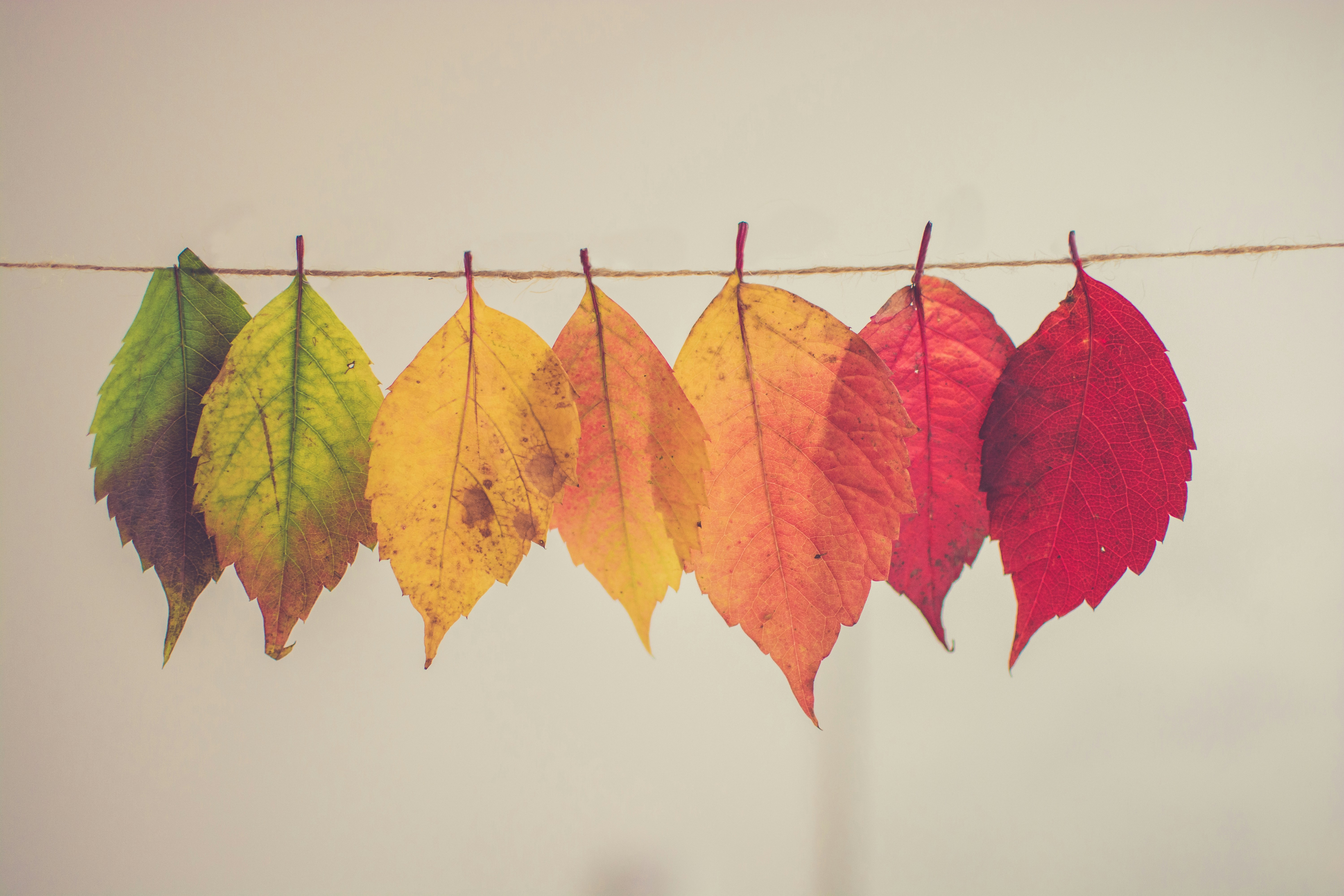 Fueling Your Growth: Unveiling Resilience Transformation Themes by Aaron