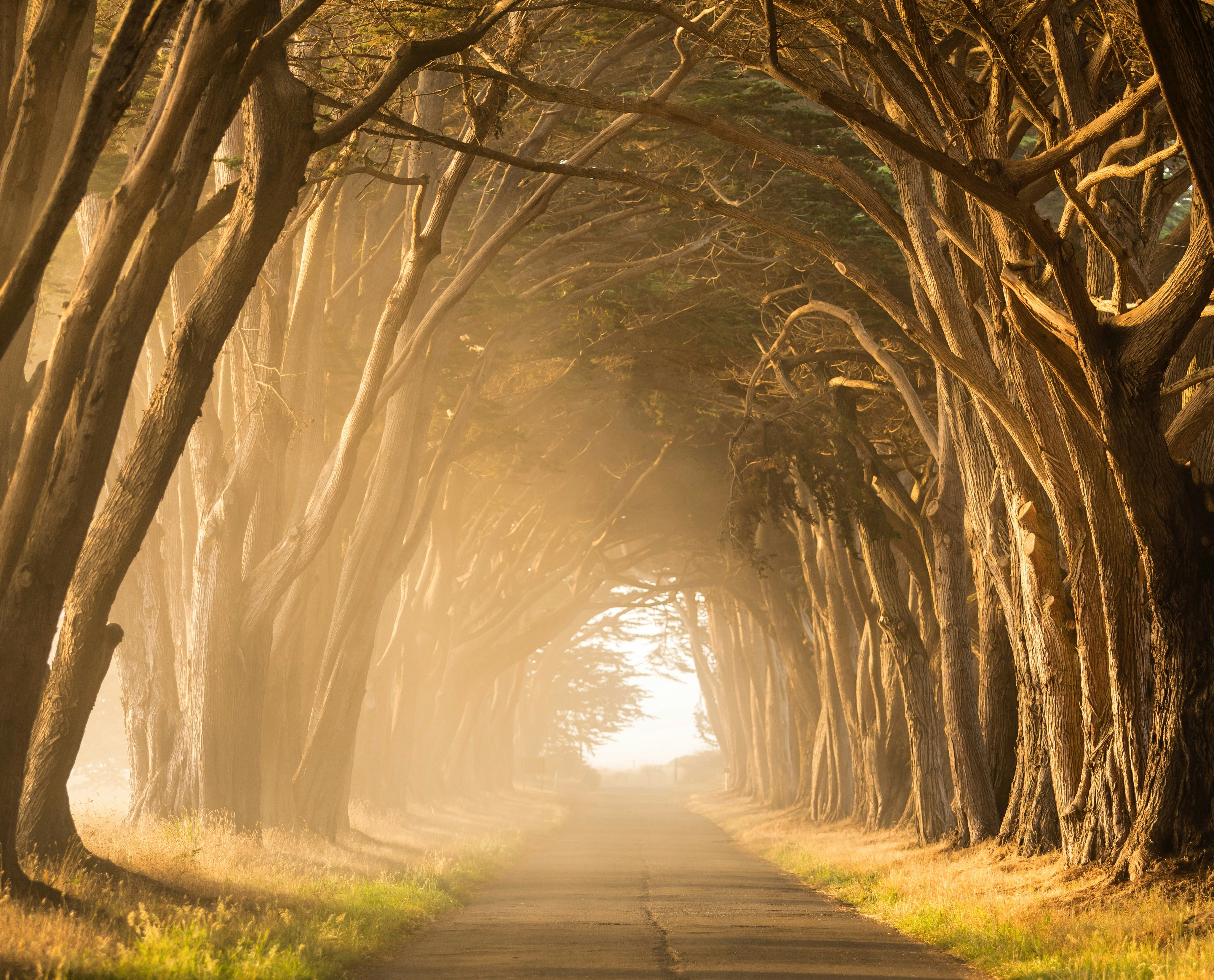 Unleash Your Potential: Navigating the Real-Life Empowerment Path Like Relentless