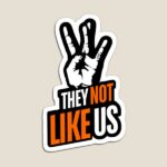 Fandom, Frenzy, and Finding Yourself: